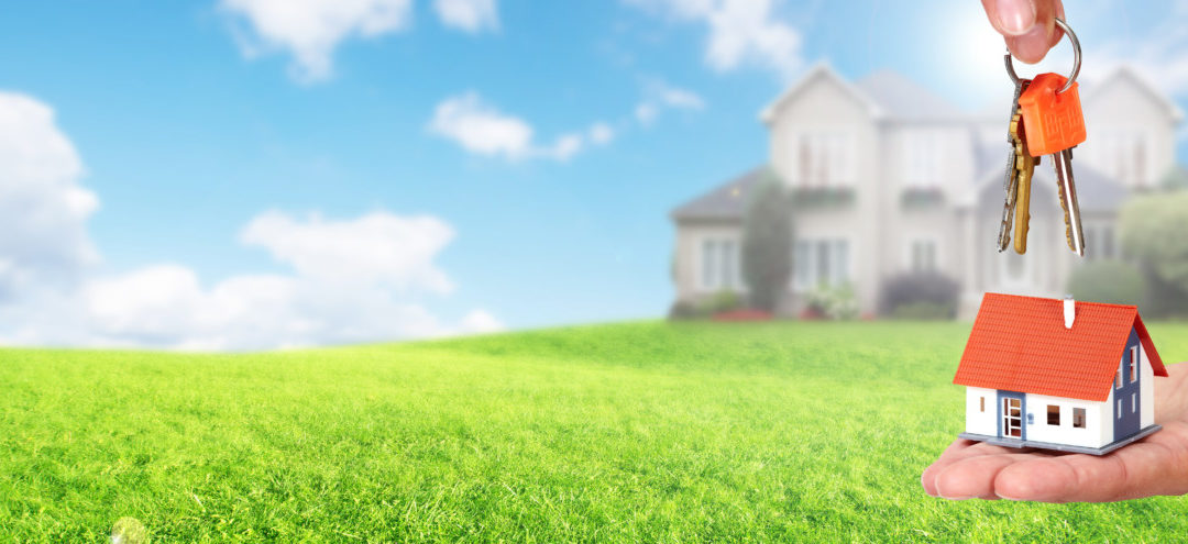 Selling Your Home – The Perfect Lawn