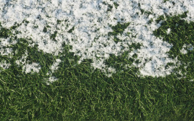 Can you still lay turf in the winter?