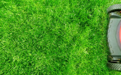Is spring the best time to lay turf?