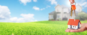 selling your house the perfect lawn
