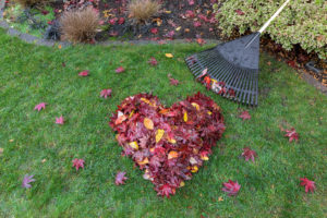 Autumn Lawn care HCT we sell turf