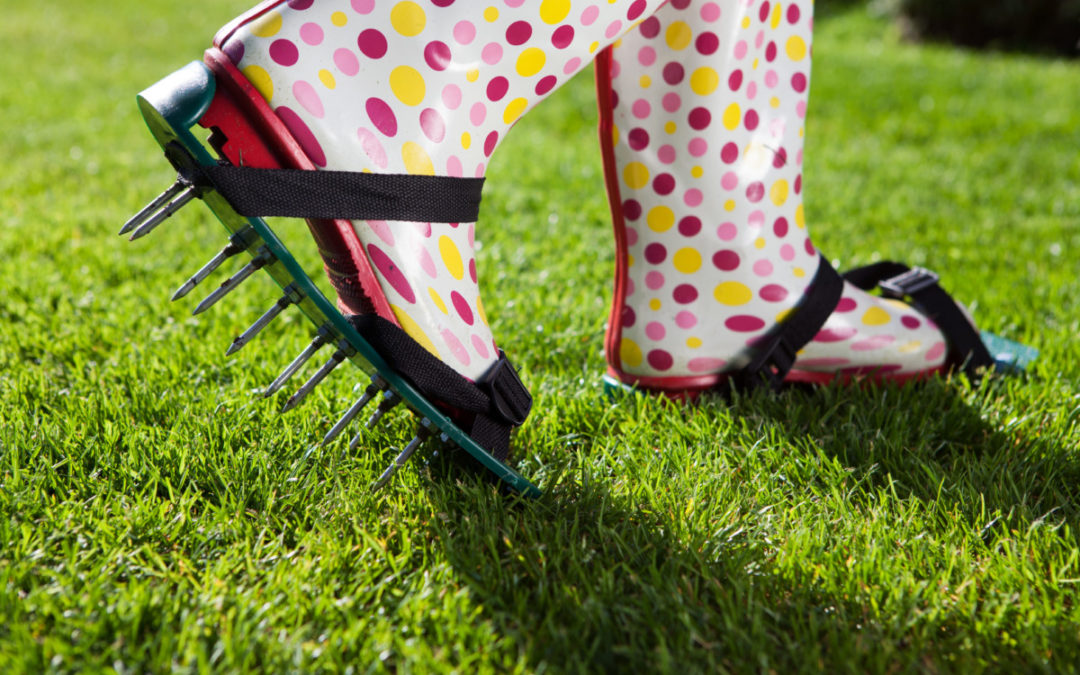 Aeration, why, when and how?