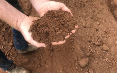 Did you know that we supply quality screened topsoil?