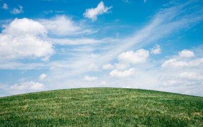 Laying turf in the summer months